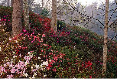 《无主之地4》引入全新武器飞刀 快速精准高伤害
